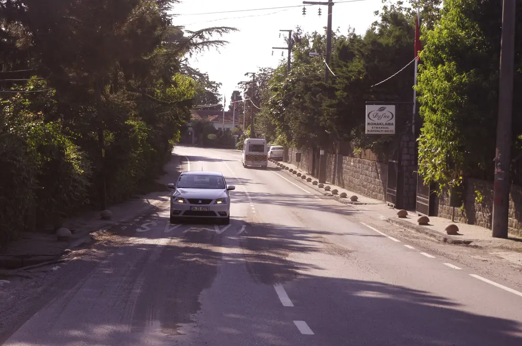 Polonezköy'de iki yanı ağaçlı asfalt ana cadde; yolda ilerleyen otomobiller, kenarda tabelalar ve elektrik direkleri.