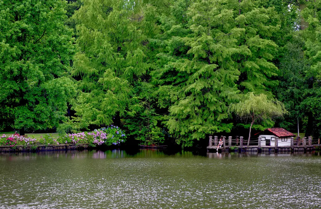 Atatürk Arboretumu'nda gölet; kıyıda ahşap bir yapı, sık yeşil ağaçlar ve suya yansıyan yapraklar.