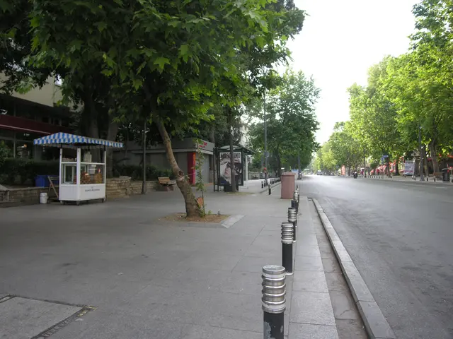 Bağdat Caddesi'nde geniş kaldırım; yeşil çınar ağaçları, kenarda mavi çatılı kulübe, demir direkler ve uzanan cadde.