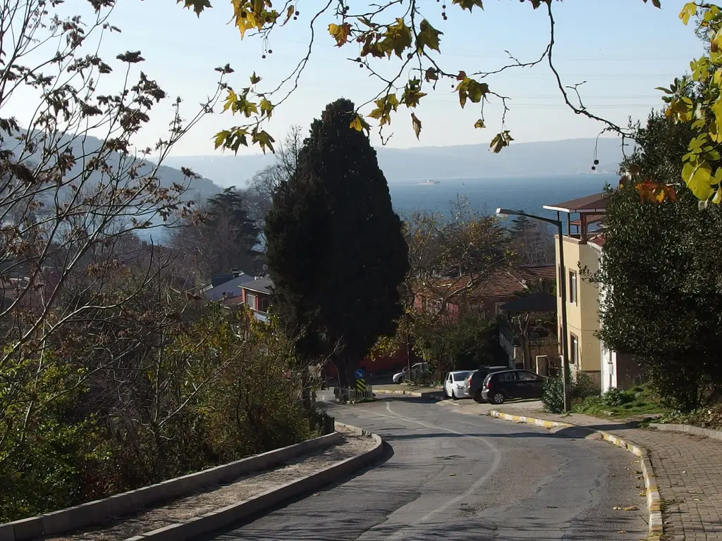 Anadolu Kavağı'nın üst kesiminde kıvrılan asfalt yol; iki yanda ağaçlar ve servi, uzakta puslu Boğaz.