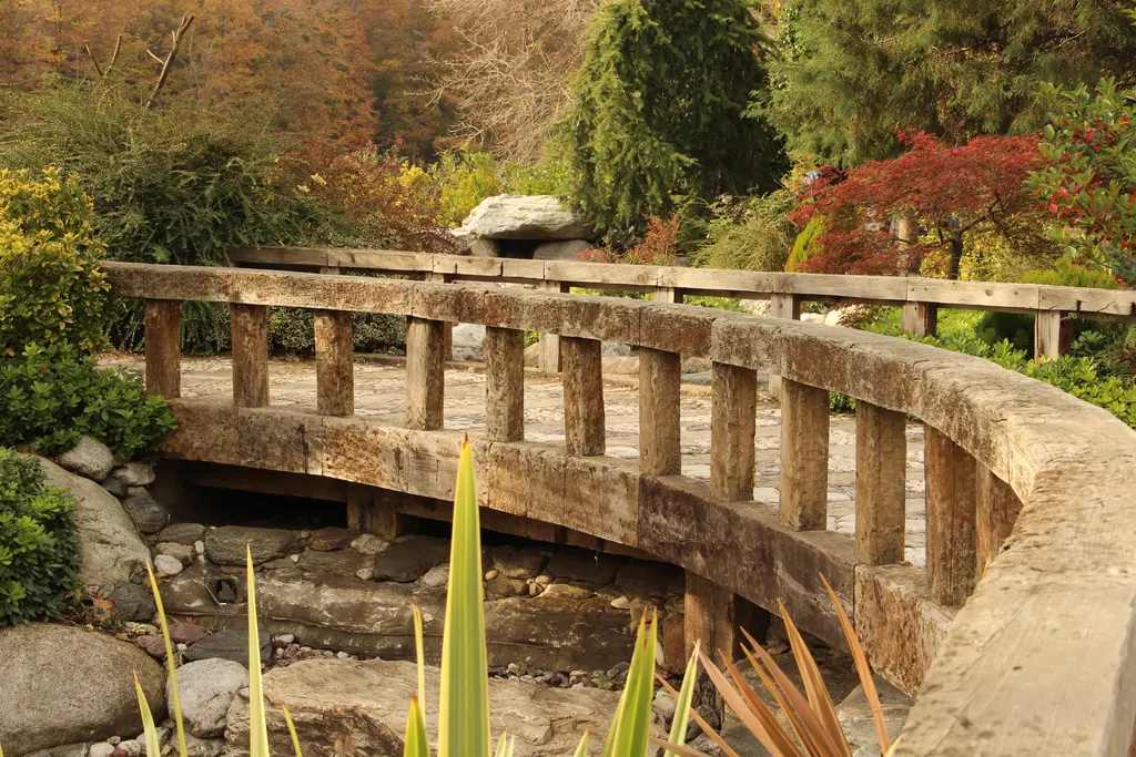 Atatürk Arboretumu'nda kavisli ahşap köprü; korkuluklu tahta yol, altında kuru dere yatağı ve renkli ağaçlar.