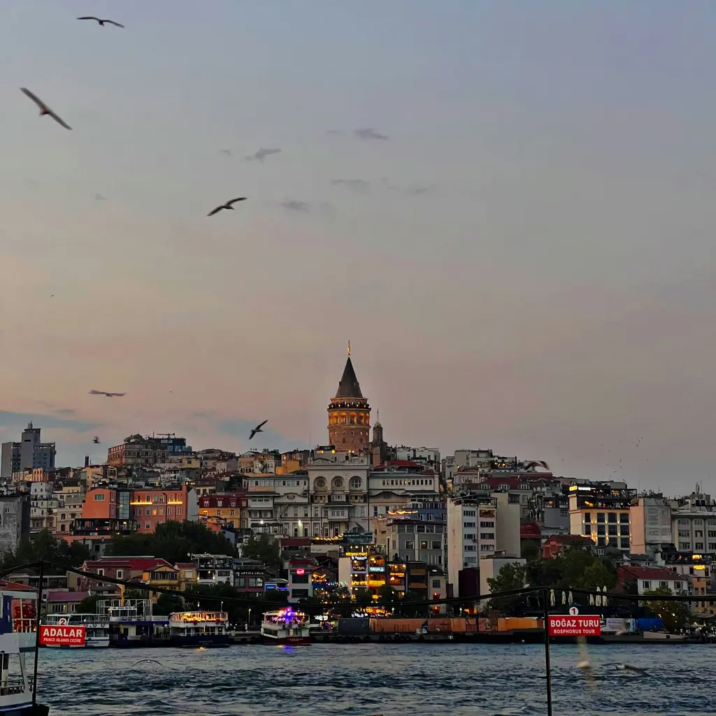 Haliç'ten akşam saatlerinde Galata; tepede Galata Kulesi, yamaca dizilen ışıklı binalar, kıyıdaki tekneler ve gökyüzünde martılar.