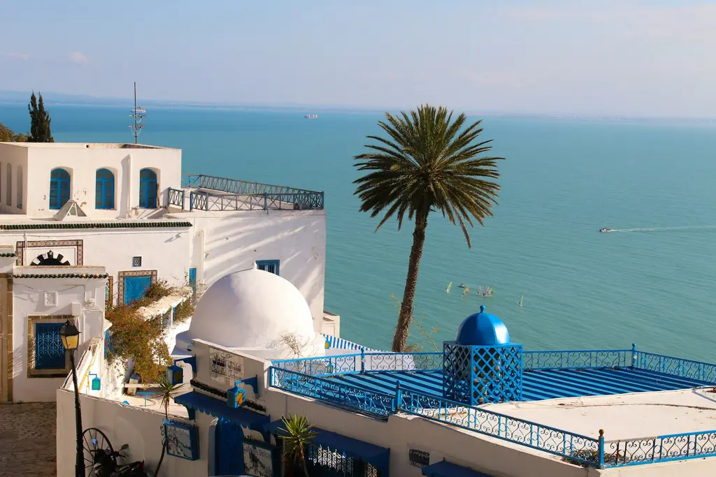 Tunus'ta Sidi Bou Said kasabası; mavi-beyaz evler, tek bir palmiye ağacı ve turkuaz deniz manzarası, parlak öğle ışığında.