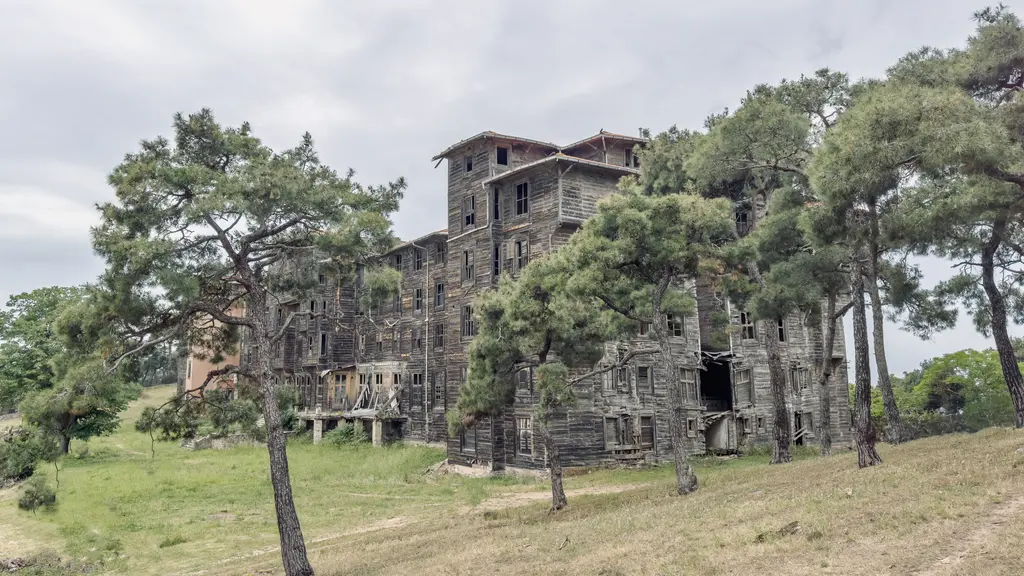 Büyükada Rum Yetimhanesi kuzeydoğudan; çam ağaçlarının arasında yükselen gri ahşap kanatlar ve çimenlik.