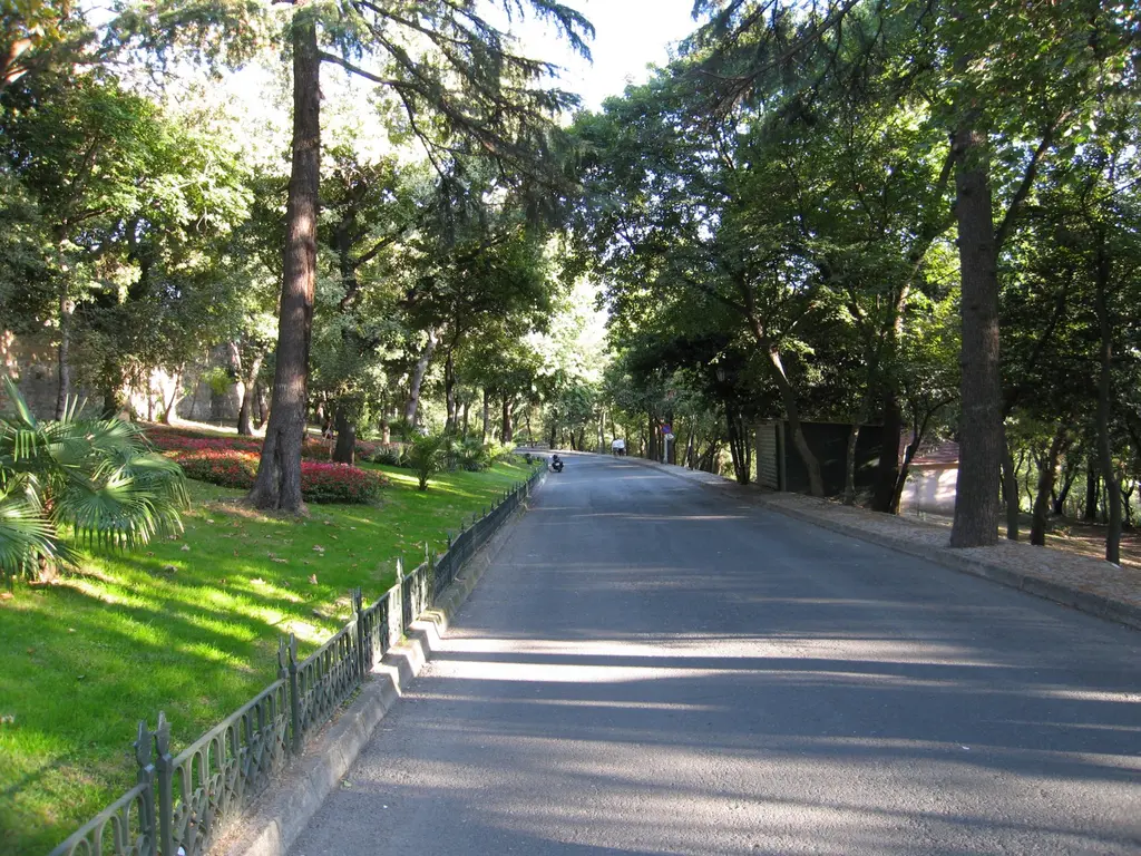 Yıldız Parkı'nda geniş bir yol; asfalt zemin, sol kenarda yeşil çimen ve parmaklık, üstünü kapatan sık ağaç dalları.