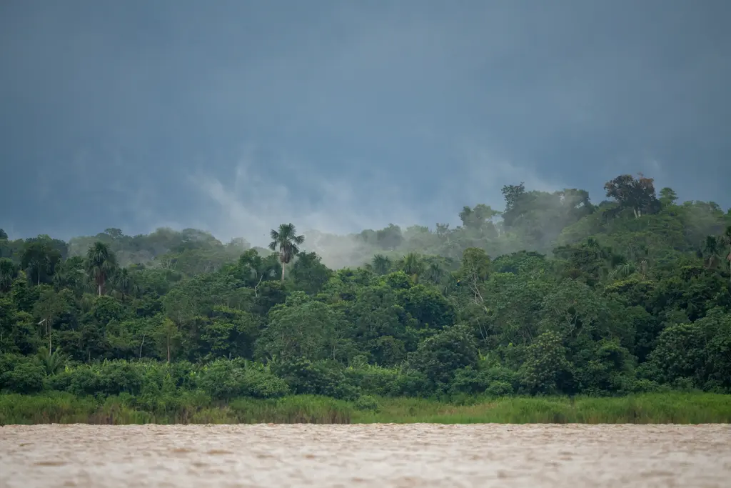 Peru Amazonu; geniş kahverengi nehir, kıyıları saran yoğun yağmur ormanı ve üzerindeki bulutlar.