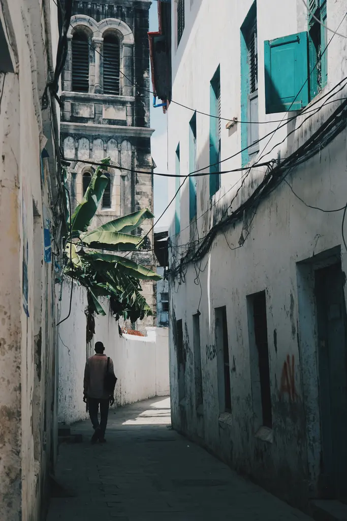 Zanzibar'da Stone Town; oymalı ahşap kapıları, taş cepheleri ve dar labirent sokaklarıyla eski şehir.