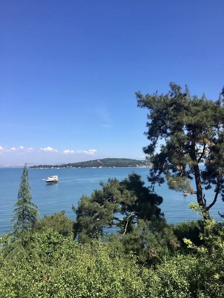 Aya Yorgi tepesinden deniz; çam ağaçlarının ardında mavi Marmara, uzakta yat ve alçak bir ada.
